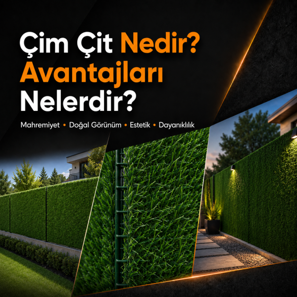 Sakarya çim çit