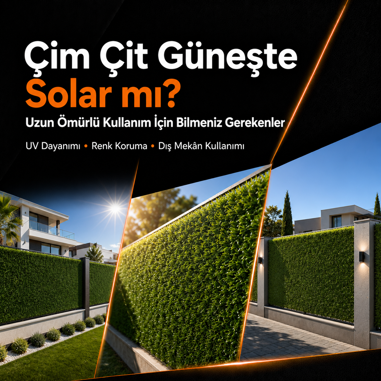 çim çit güneşte solar mı